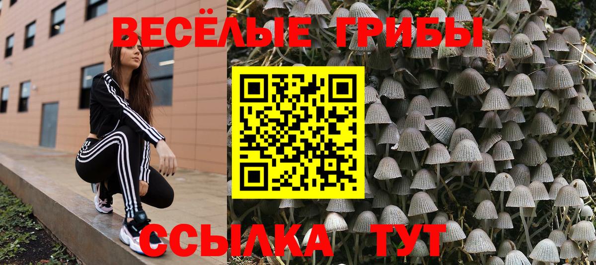 Псилоцибиновые грибы GOLDEN TEACHER Муравленко