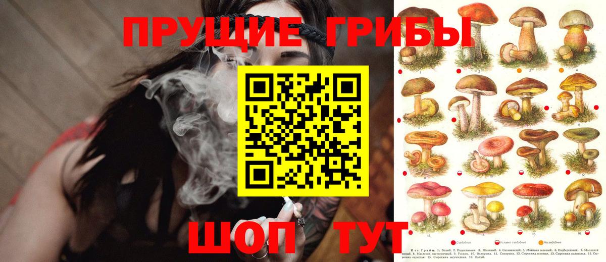 купить наркотики цена  Галлюциногенные грибы Cubensis  Муравленко  Вход с VPN  Галлюциногенные грибы мицелий 